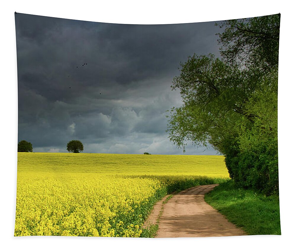 Landscape Tapestry featuring the photograph Yellow ocean 6 by Remigiusz MARCZAK