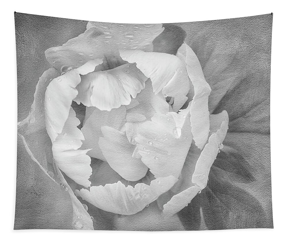 Peony Tapestry featuring the photograph Yellow Peony BW by Susan Candelario