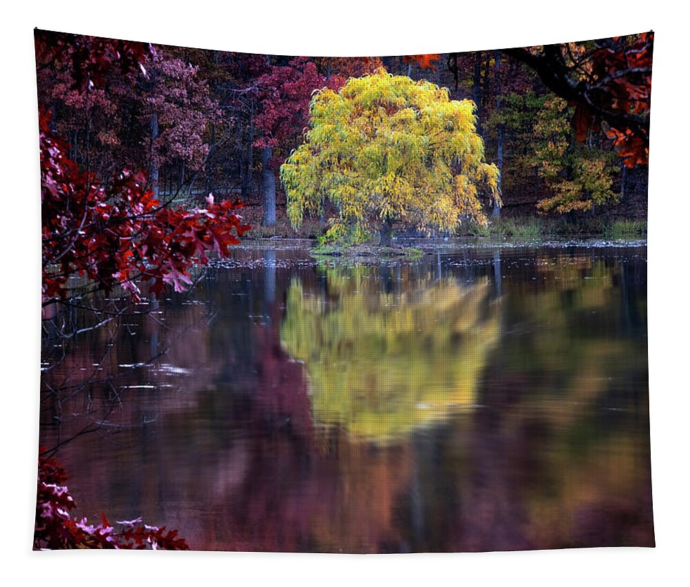Lake Reflection Tapestry featuring the photograph Yellow Reflection by Tom Singleton