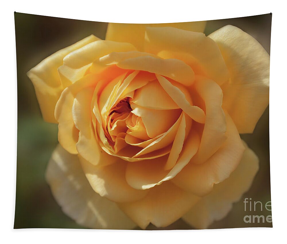 Floral Tapestry featuring the photograph Yellow Rose by Elaine Teague