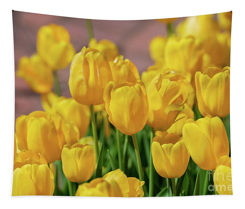 Tulips Tapestry featuring the photograph Yellow Tulips, No. 1 by Glenn Franco Simmons