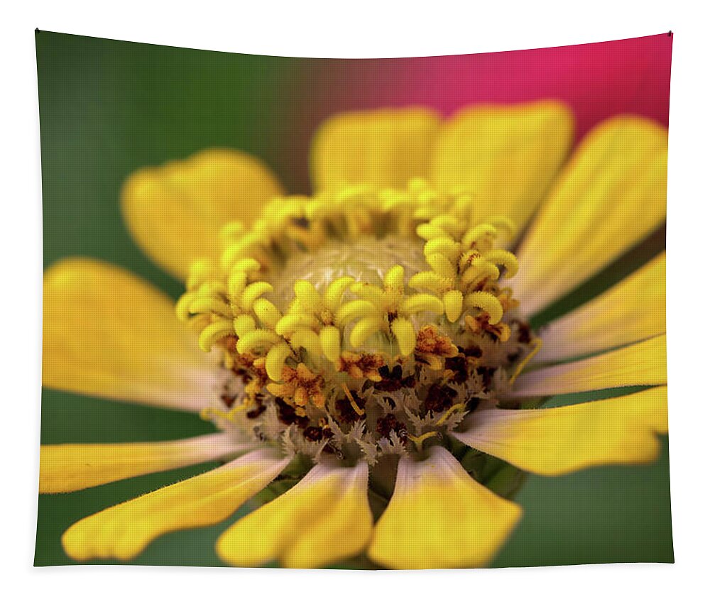 Zinnia Tapestry featuring the photograph Yellow Zinnia by Mary Anne Delgado