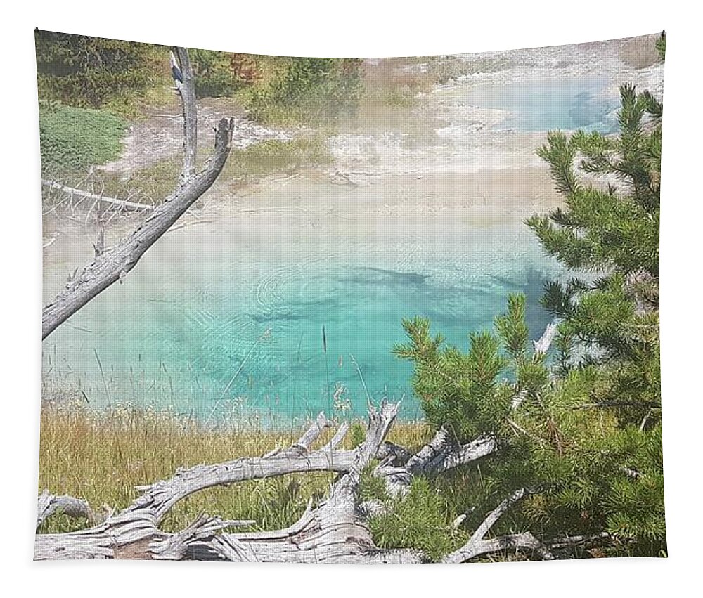 Yellowstone Tapestry featuring the photograph Yellowstone by Joelle Philibert