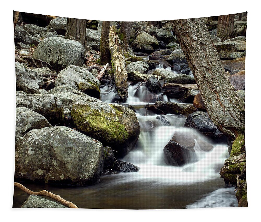 Water Tapestry featuring the photograph Yosemite Stream by Gary Geddes
