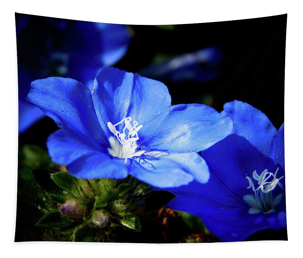 Blue Tapestry featuring the photograph You Blue My Mind by Gena Herro