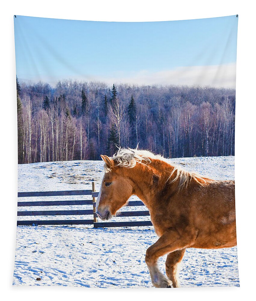 Winter Tapestry featuring the photograph Young Juno by Listen To Your Horse