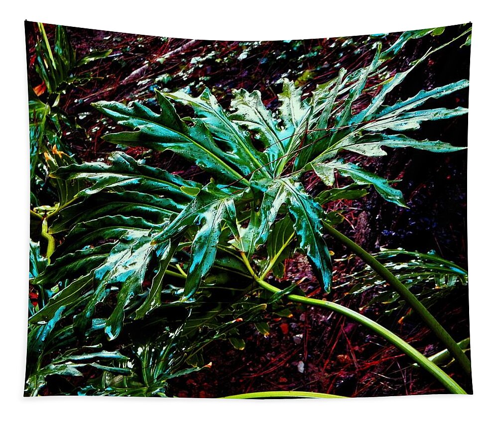 Leaf Tapestry featuring the photograph Yummy Leaf by Andrew Lawrence
