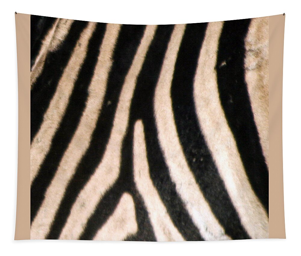 Zebra Tapestry featuring the photograph Zebra Print by Karen Zuk Rosenblatt