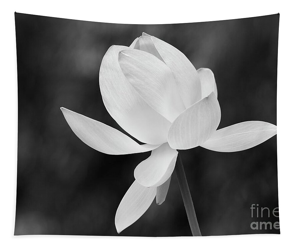 Flower Tapestry featuring the photograph Zen Morning by John F Tsumas