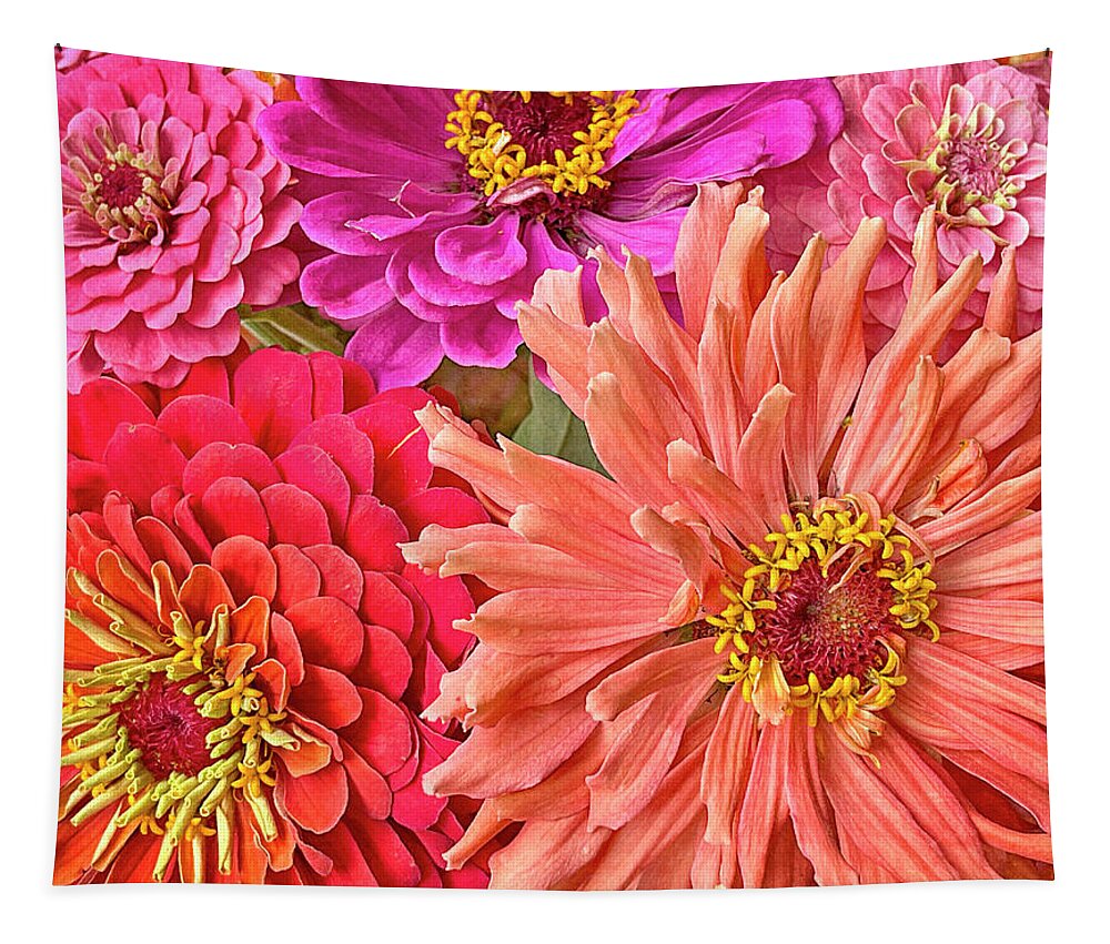 Zinnia Tapestry featuring the photograph Zinnia Party Surprise 3 by Jill Love