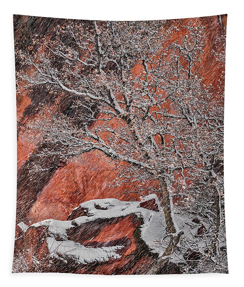 Utah Tapestry featuring the photograph Zion Winter 1 by Robert Fawcett