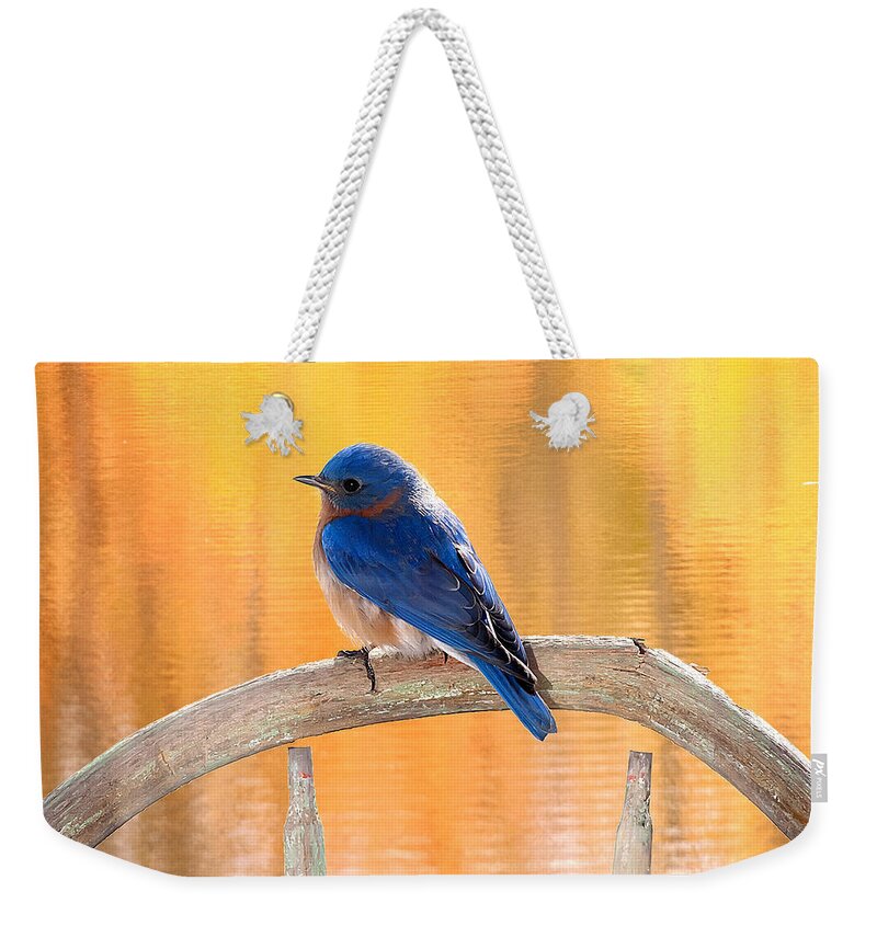  Bluebird Male Weekender Tote Bag featuring the photograph Bluebird On My Chair by Randall Branham