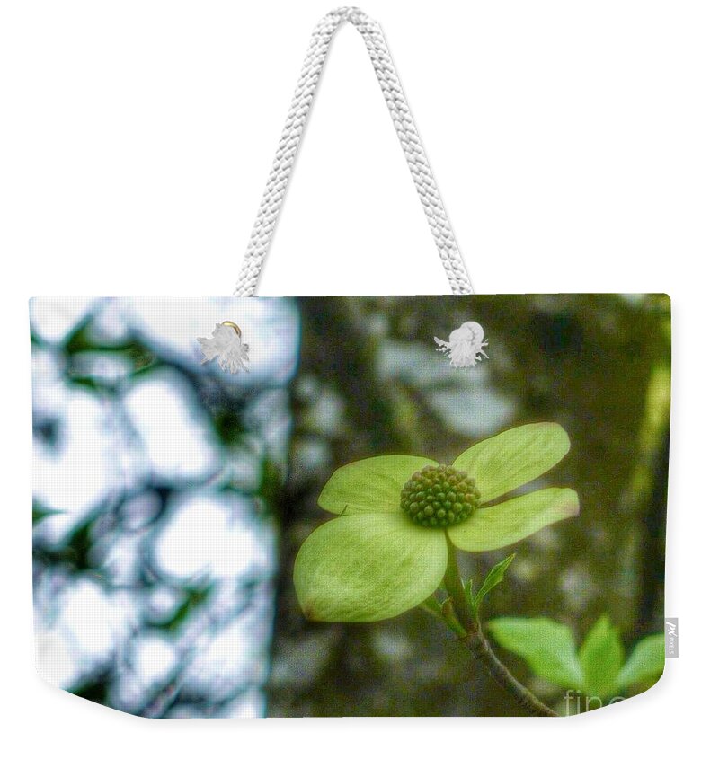 Dogwood Weekender Tote Bag featuring the photograph Dogwood Lime by Susan Garren