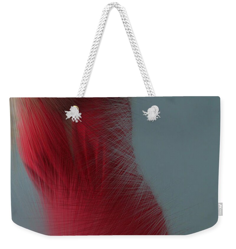 Red Weekender Tote Bag featuring the photograph In Red by Linda Sannuti