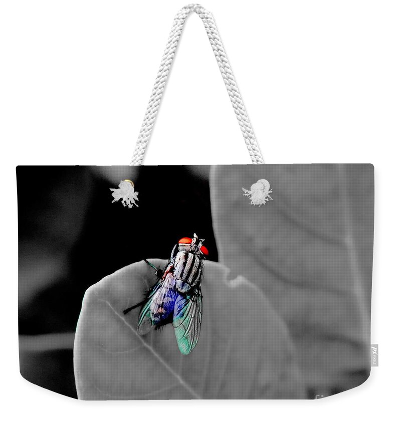 Michelle Meenawong Weekender Tote Bag featuring the photograph Just A Fly by Michelle Meenawong