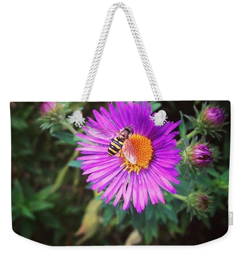Okitwasintended Weekender Tote Bag featuring the photograph Little Bolt by Katie Cupcakes