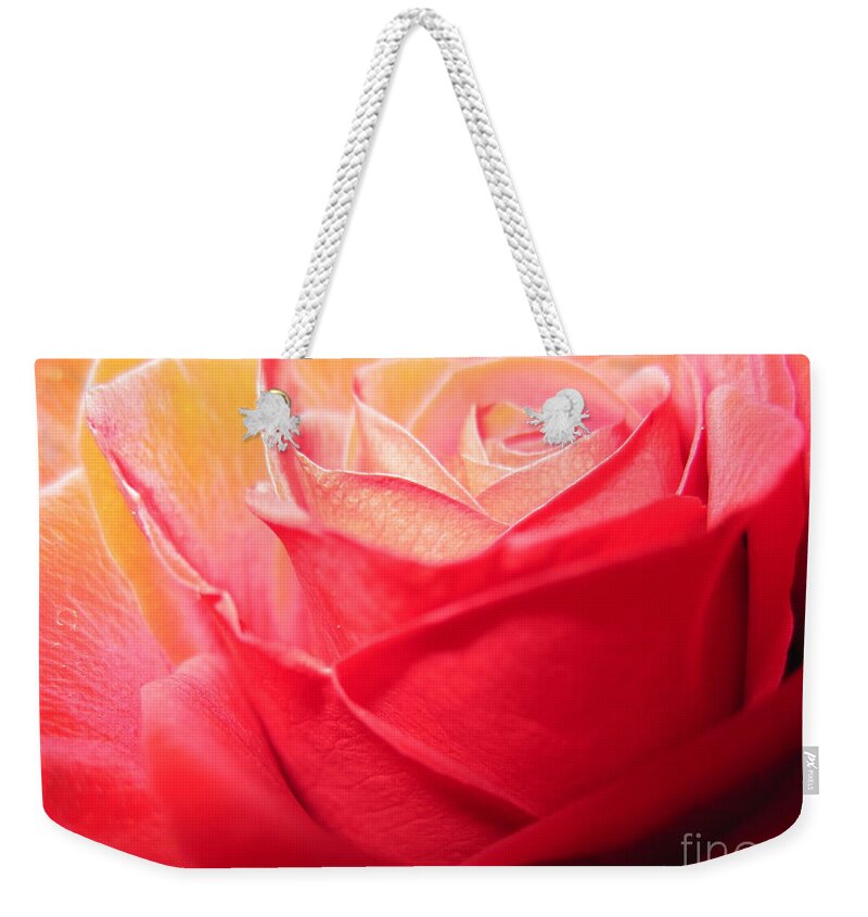Floral Weekender Tote Bag featuring the photograph Luminous Pink Rose 2 by Tara Shalton