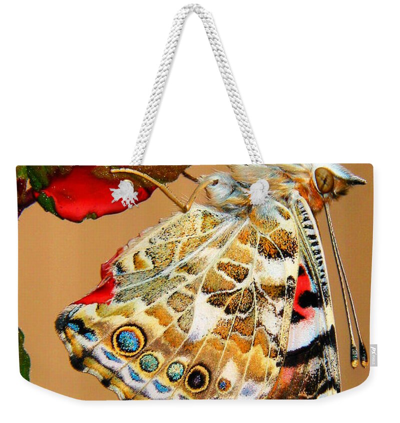 Butterfly Weekender Tote Bag featuring the photograph Painted Lady Butterfly by David and Carol Kelly