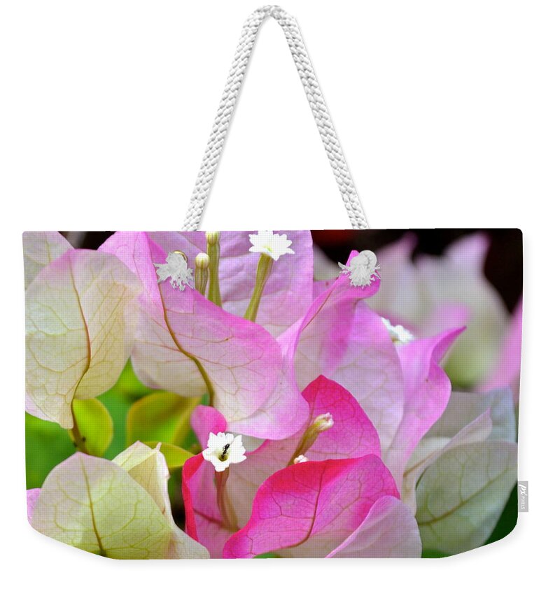 Hawaii Weekender Tote Bag featuring the photograph Pink Bougainvillea ...with a friend by Lehua Pekelo-Stearns
