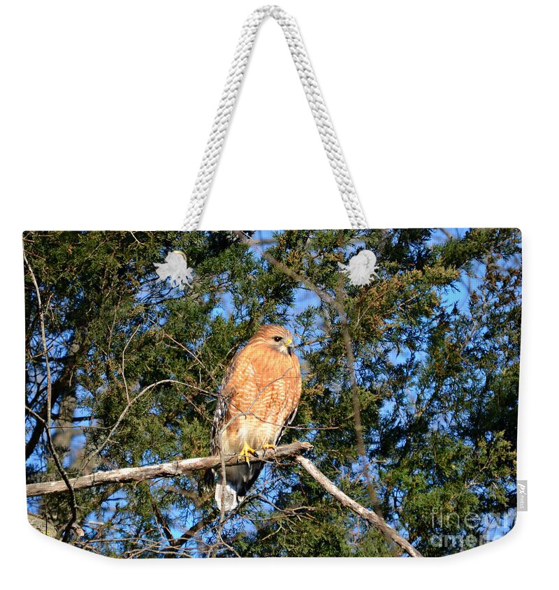 Andscape Weekender Tote Bag featuring the photograph Simply Majestic by Peggy Franz