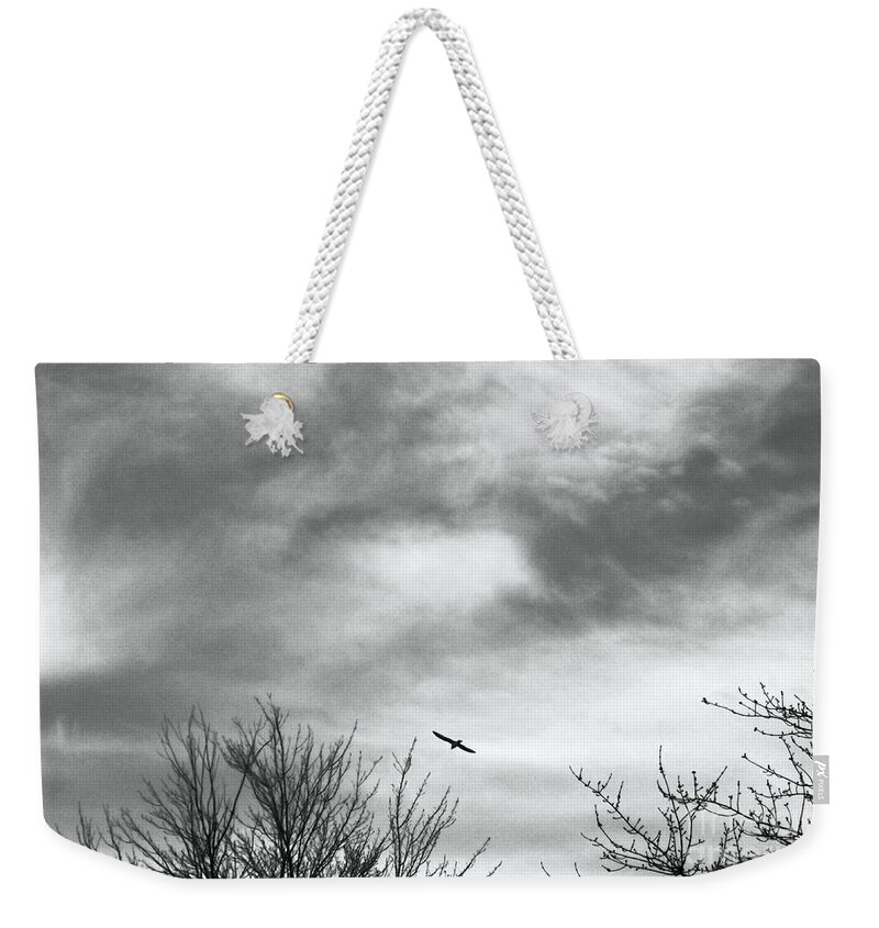 Tranquil Weekender Tote Bag featuring the photograph Tranquil Skies by Robyn King