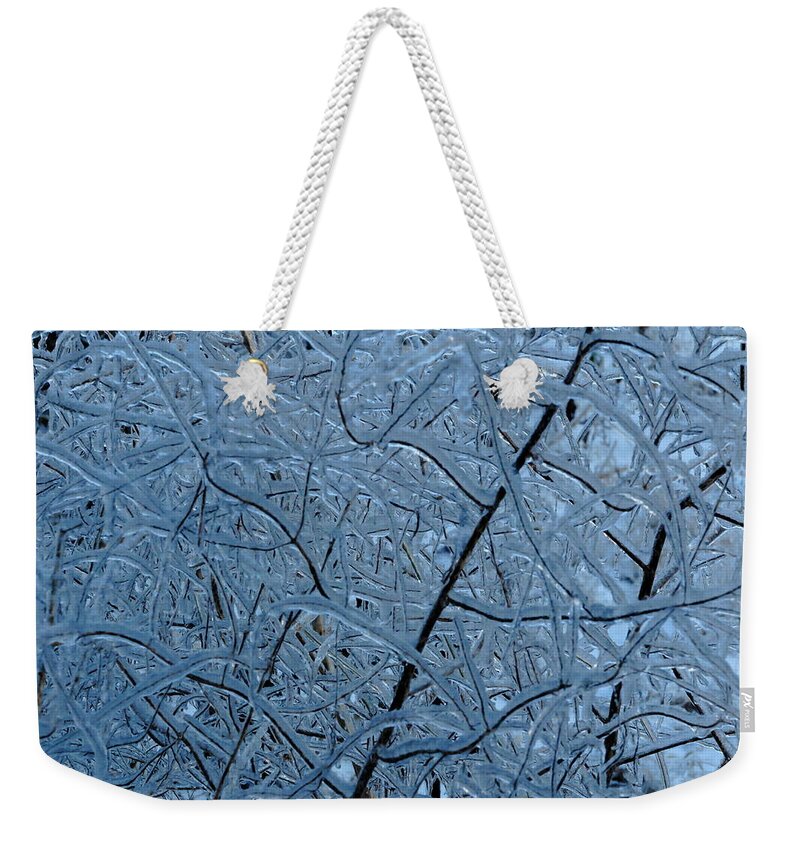 Ice Weekender Tote Bag featuring the photograph Vegetation After Ice Storm by Daniel Reed