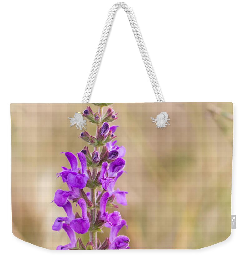 Bulgaria Weekender Tote Bag featuring the photograph 01 Meadow clary wild flower by Jivko Nakev