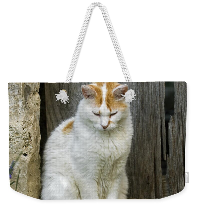 White Weekender Tote Bag featuring the photograph 080801p076 by Arterra Picture Library