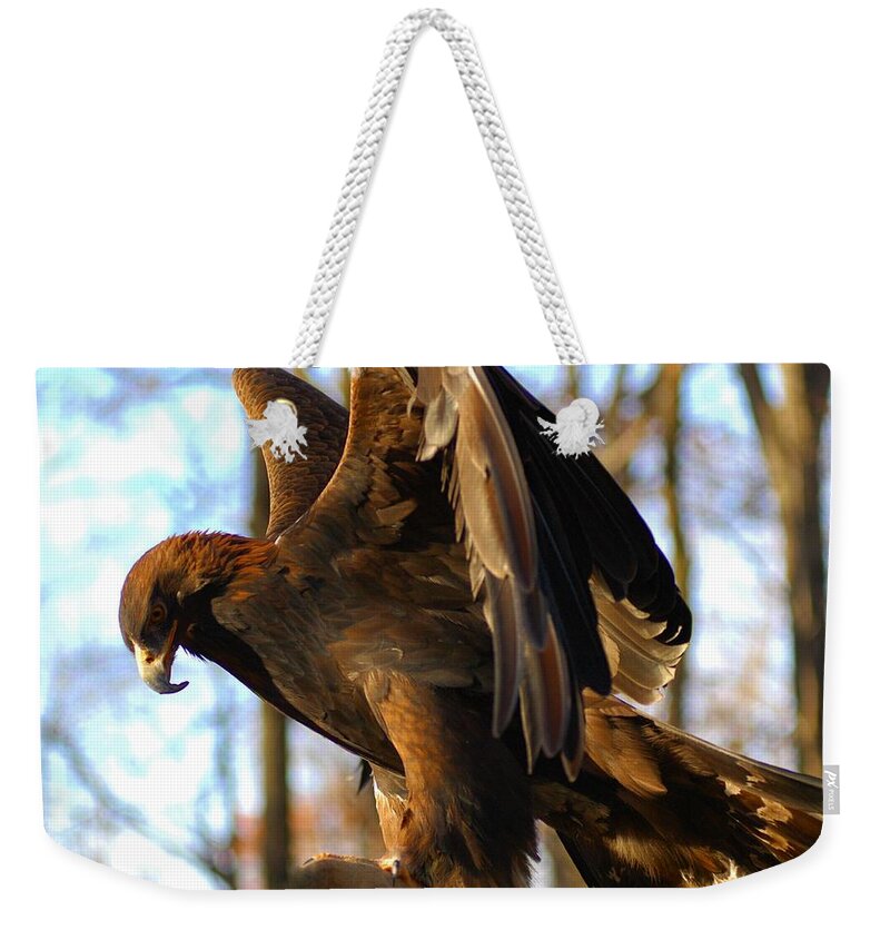 A Golden Eagle Weekender Tote Bag featuring the photograph A Golden Eagle #1 by Raymond Salani III