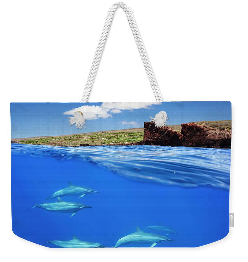 Delphinidae Weekender Tote Bag featuring the photograph A Split View Of Spinner Dolphin #1 by Dave Fleetham