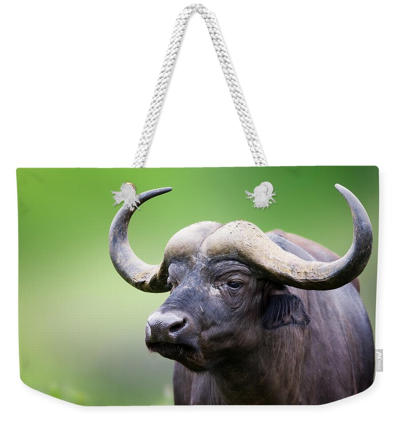 Buffalo Weekender Tote Bag featuring the photograph African buffalo Portrait by Johan Swanepoel