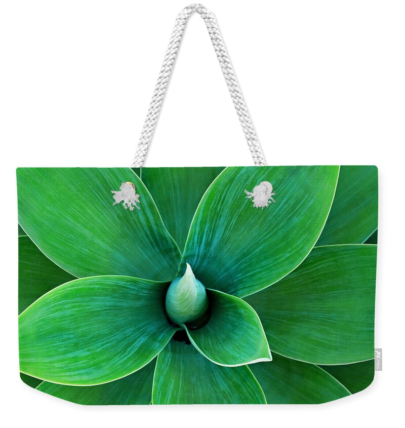 Agave Weekender Tote Bag featuring the photograph Agave #1 by Juj Winn