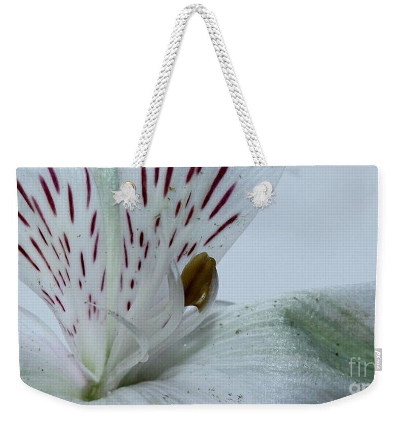 Amaryllis Weekender Tote Bag featuring the photograph Alive #1 by Krissy Katsimbras