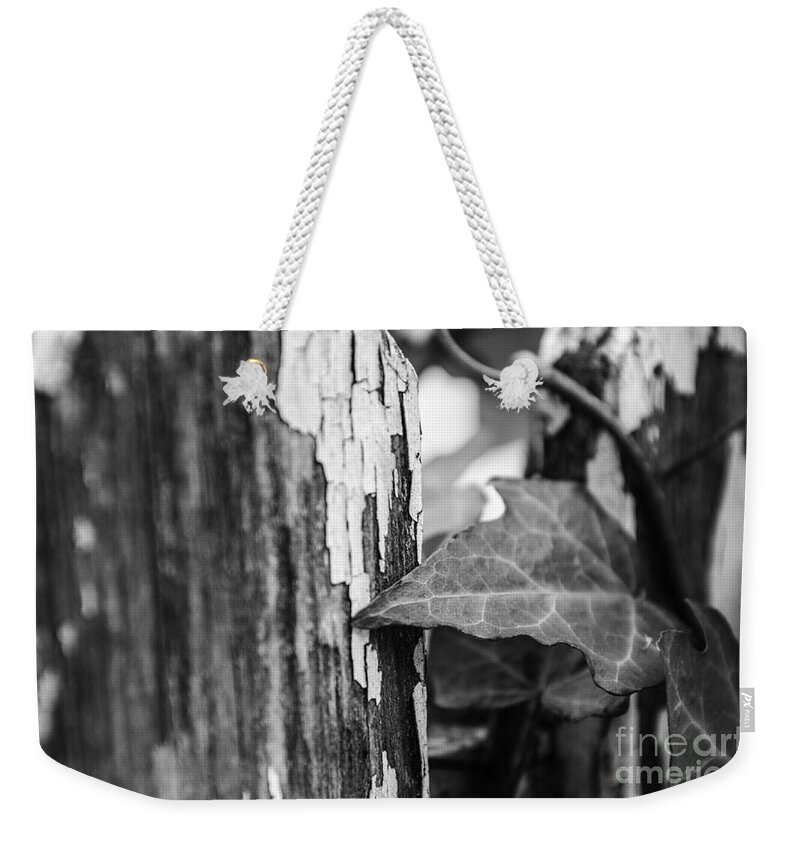 Wood Weekender Tote Bag featuring the photograph Along the Fence #1 by JT Lewis