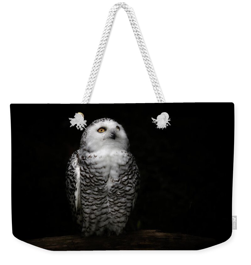 Animal Themes Weekender Tote Bag featuring the photograph An Owl #1 by Kaneko Ryo