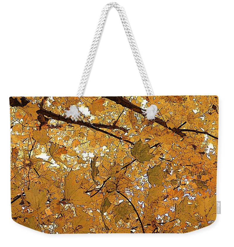 Autumn Weekender Tote Bag featuring the photograph Autumn Canopy by Margie Avellino