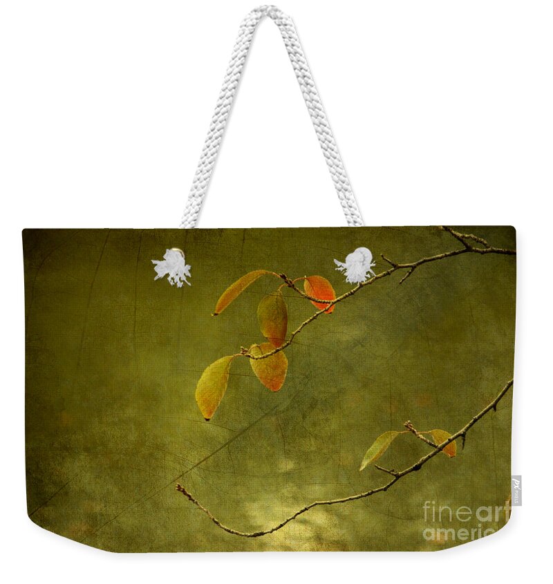 Autumn Weekender Tote Bag featuring the photograph Autumn Colours #1 by Eena Bo