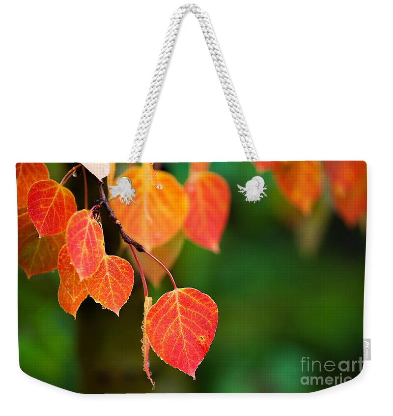 Autumn Colors Weekender Tote Bag featuring the photograph Autumn Curtain by Jim Garrison