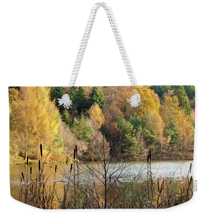 Scenics Weekender Tote Bag featuring the photograph Autumn In The Forest Of Dean, Mallards #1 by Stephen Dorey