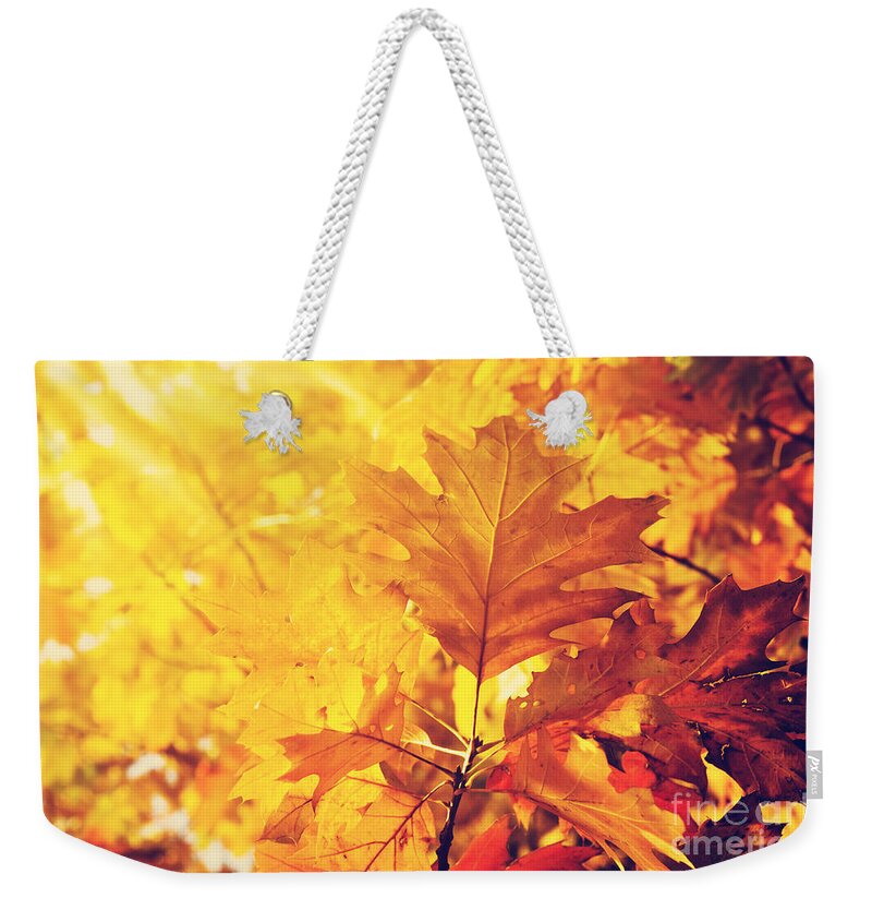 Autumn Weekender Tote Bag featuring the photograph Autumn Leaves #3 by Jelena Jovanovic