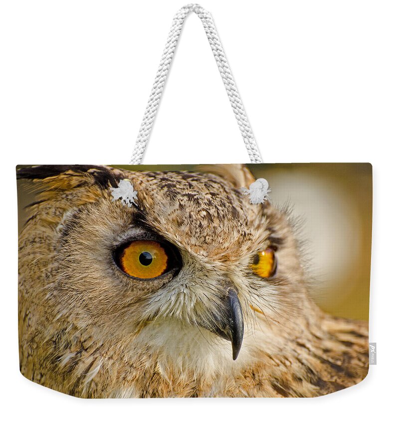 Bengal Owl Weekender Tote Bag featuring the photograph Bengal Owl #1 by Chris Thaxter