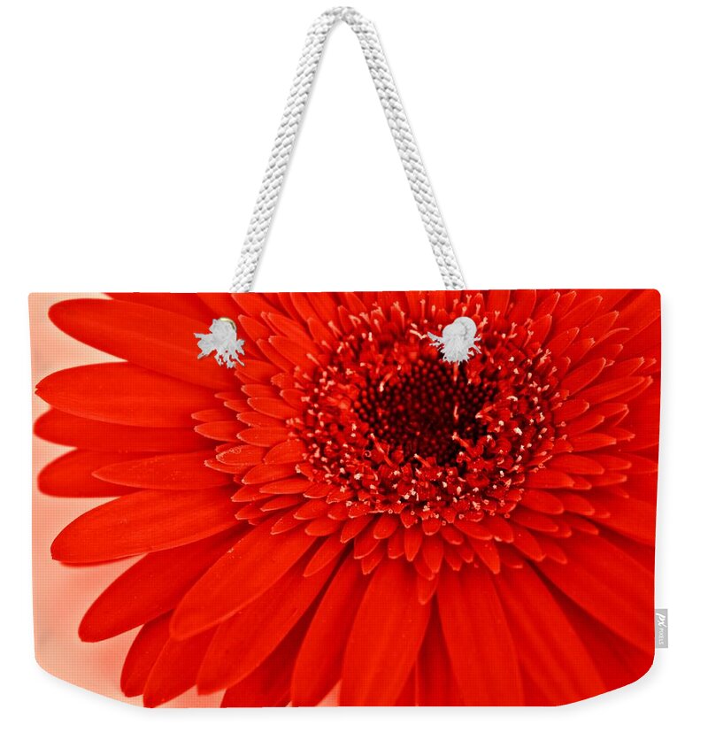 Red Gerbera Weekender Tote Bag featuring the photograph Big Red #1 by Clare Bevan