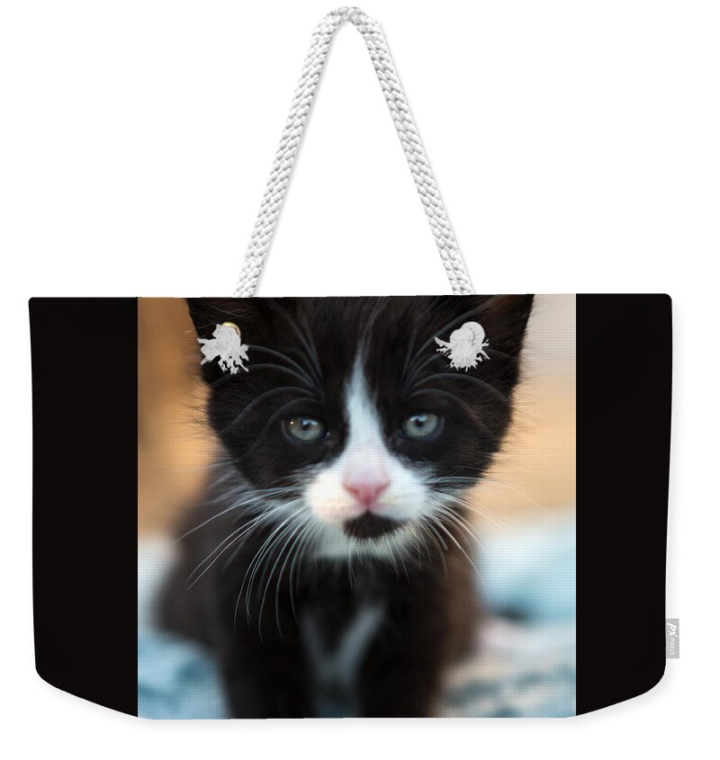 #faatoppicks Weekender Tote Bag featuring the photograph Black and white Kitten by Iris Richardson