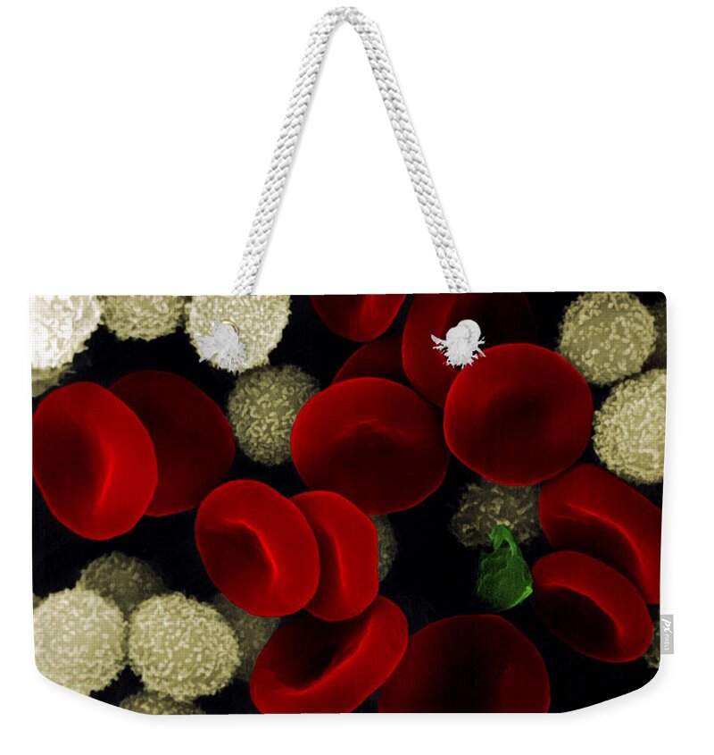 Leukocyte Weekender Tote Bag featuring the photograph Blood Cells by Stem Jems
