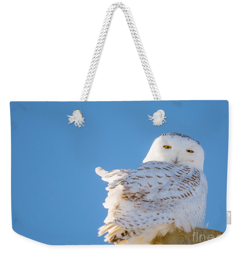  Sky Weekender Tote Bag featuring the photograph Blue Sky Snowy by Cheryl Baxter