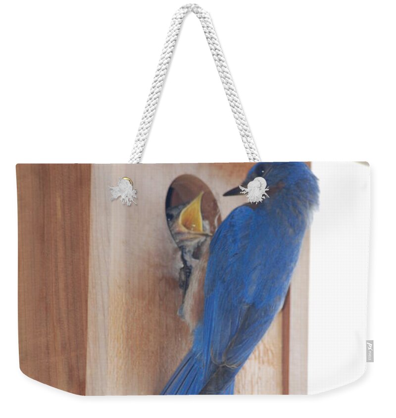 Bird Weekender Tote Bag featuring the photograph Bluebird of Happiness by Kenny Glover