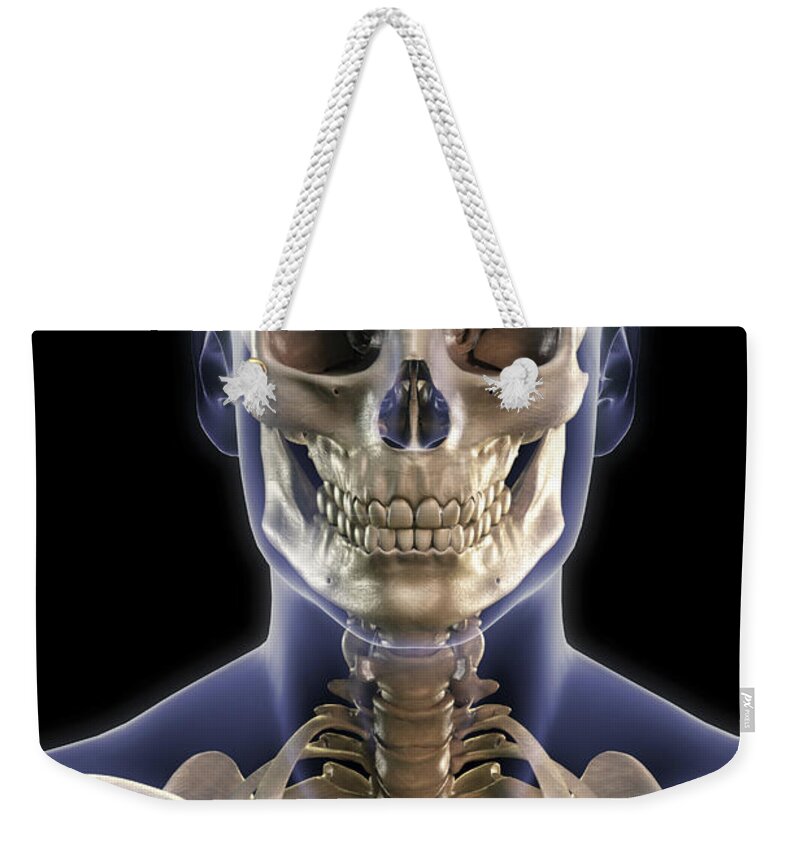 Skeleton Weekender Tote Bag featuring the photograph Bones Of The Head And Upper Thorax #1 by Science Picture Co