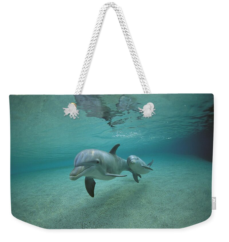 Feb0514 Weekender Tote Bag featuring the photograph Bottlenose Dolphin Mother And Young #1 by Flip Nicklin