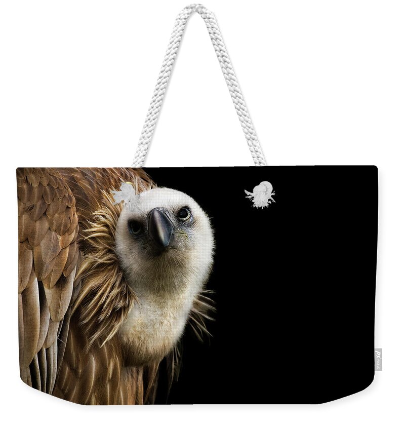 Animal Themes Weekender Tote Bag featuring the photograph Buitre Leonado #1 by Pvicens
