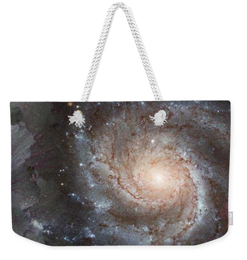 Photography Weekender Tote Bag featuring the photograph Cabbage With Galaxy And Pink Flowers #1 by Panoramic Images